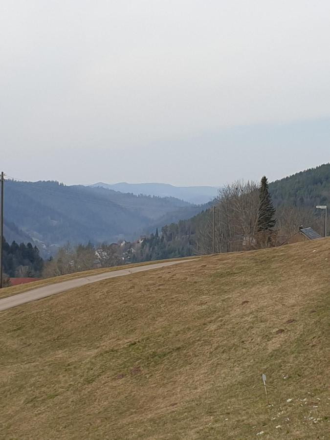 Burgblick Apartment