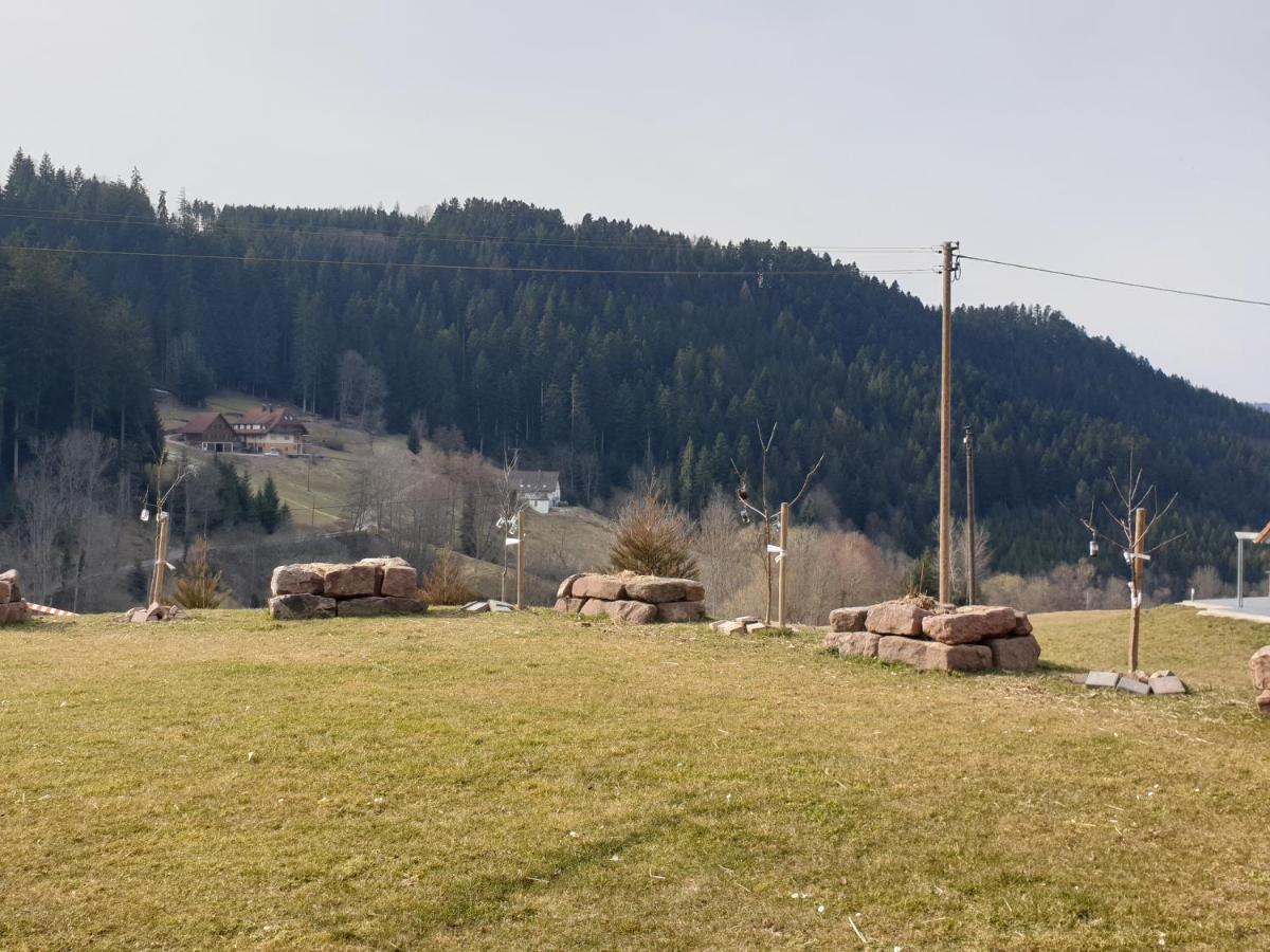 Burgblick Apartment *