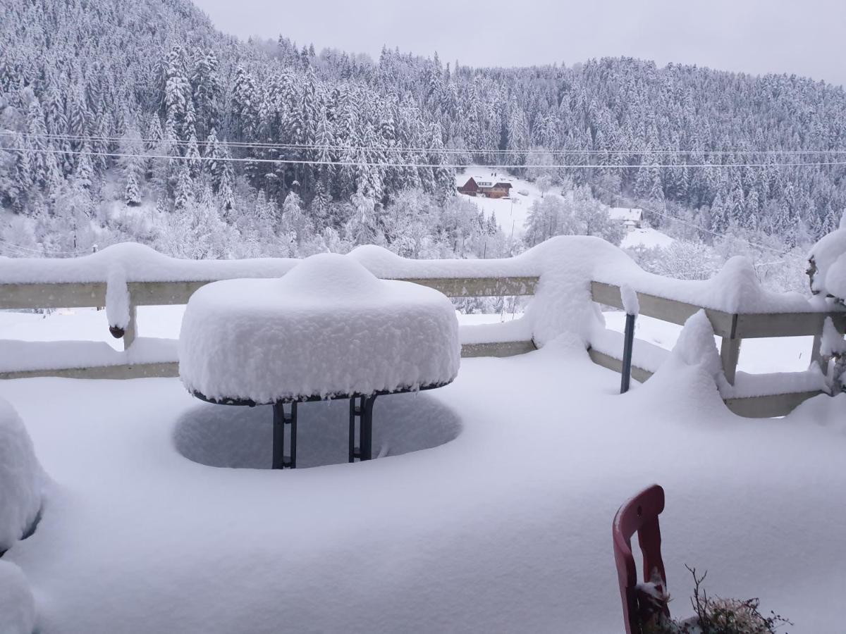 Burgblick Apartment Schramberg